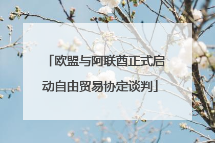 欧盟与阿联酋正式启动自由贸易协定谈判
