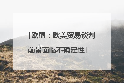 欧盟：欧美贸易谈判前景面临不确定性