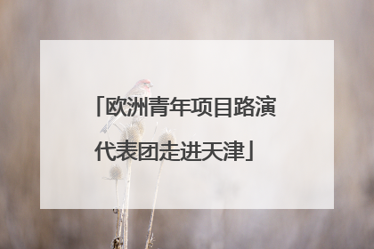 欧洲青年项目路演代表团走进天津