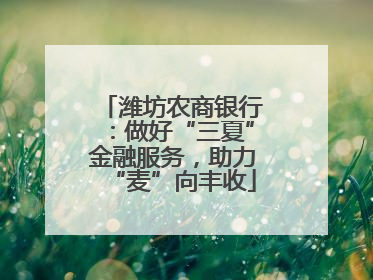 潍坊农商银行：做好“三夏”金融服务，助力“麦”向丰收