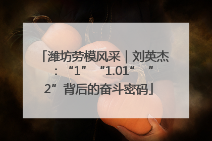 潍坊劳模风采｜刘英杰：“1”“1.01”“2”背后的奋斗密码