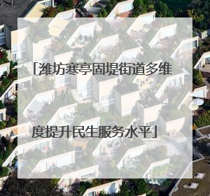 潍坊寒亭固堤街道多维度提升民生服务水平