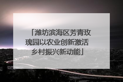 潍坊滨海区芳青玫瑰园以农业创新激活乡村振兴新动能