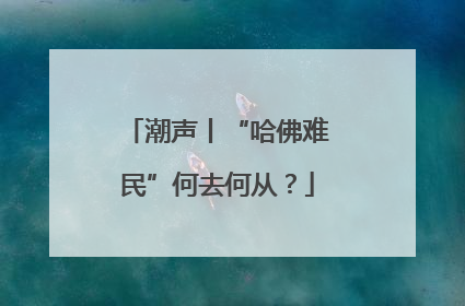 潮声丨“哈佛难民”何去何从？
