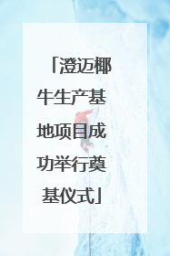 澄迈椰牛生产基地项目成功举行奠基仪式