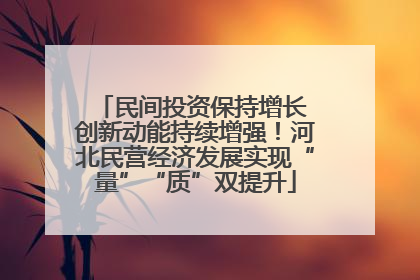 民间投资保持增长 创新动能持续增强！河北民营经济发展实现“量”“质”双提升