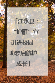 江永县：“护雁”宣讲进校园 助梦启航护成长