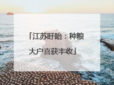 江苏盱眙：种粮大户喜获丰收