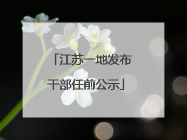 江苏一地发布干部任前公示