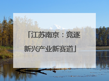江苏南京：竞逐新兴产业新赛道