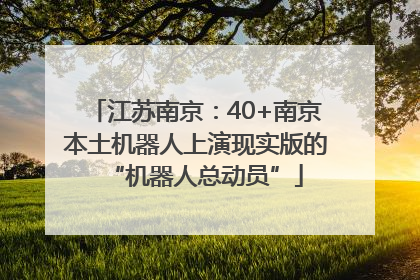 江苏南京：40+南京本土机器人上演现实版的“机器人总动员”