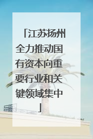 江苏扬州全力推动国有资本向重要行业和关键领域集中