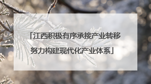 江西积极有序承接产业转移 努力构建现代化产业体系