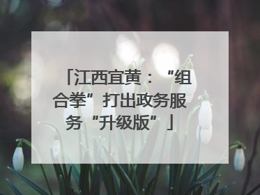 江西宜黄：“组合拳”打出政务服务“升级版”