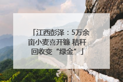 江西彭泽：5万余亩小麦喜开镰 秸秆回收变“绿金”