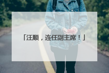 汪顺，连任副主席！