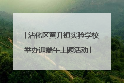 沾化区黄升镇实验学校举办迎端午主题活动