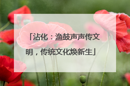 沾化：渔鼓声声传文明，传统文化焕新生