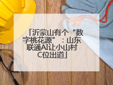 沂蒙山有个“数字桃花源”：山东联通AI让小山村C位出道