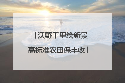 沃野千里绘新景 高标准农田保丰收