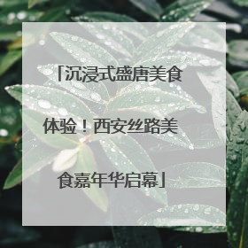 沉浸式盛唐美食体验！西安丝路美食嘉年华启幕