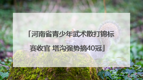 河南省青少年武术散打锦标赛收官 塔沟强势摘40冠