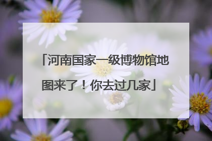 河南国家一级博物馆地图来了！你去过几家