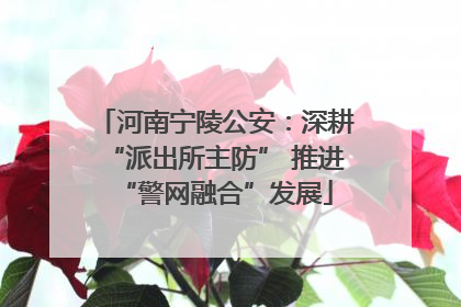 河南宁陵公安：深耕“派出所主防” 推进“警网融合”发展