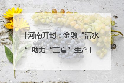 河南开封：金融“活水”助力“三夏”生产