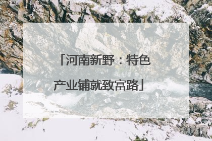 河南新野：特色产业铺就致富路