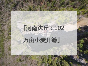 河南沈丘：102 万亩小麦开镰