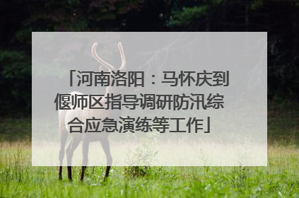 河南洛阳：马怀庆到偃师区指导调研防汛综合应急演练等工作