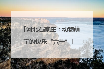 河北石家庄：动物萌宝的快乐“六一”