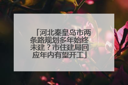 河北秦皇岛市两条路规划多年始终未建？市住建局回应年内有望开工