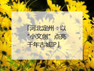 河北定州：以“小文创”点亮千年古城IP