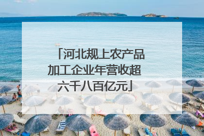河北规上农产品加工企业年营收超六千八百亿元