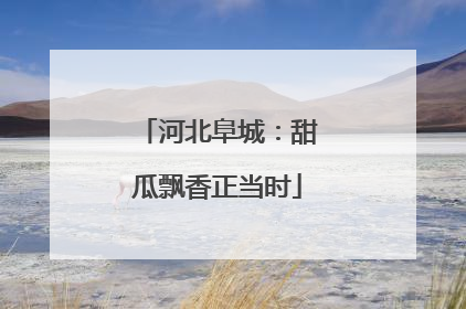 河北阜城：甜瓜飘香正当时