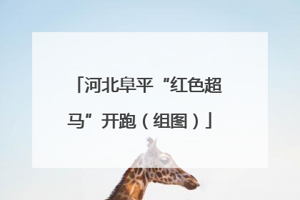 河北阜平“红色超马”开跑（组图）