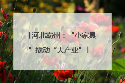 河北霸州：“小家具”撬动“大产业”