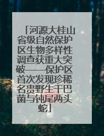 河源大桂山省级自然保护区生物多样性调查获重大突破——保护区首次发现珍稀名贵野生干巴菌与钝尾两头蛇