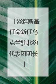 泽连斯基任命新任乌克兰驻北约代表团团长