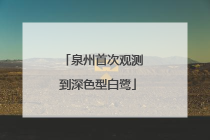 泉州首次观测到深色型白鹭