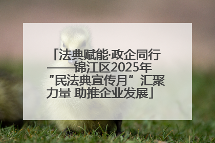 法典赋能·政企同行——锦江区2025年“民法典宣传月”汇聚力量 助推企业发展