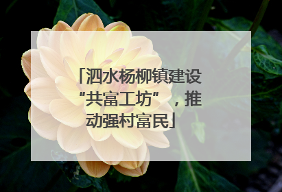 泗水杨柳镇建设“共富工坊”，推动强村富民