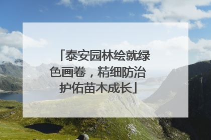 泰安园林绘就绿色画卷，精细防治护佑苗木成长
