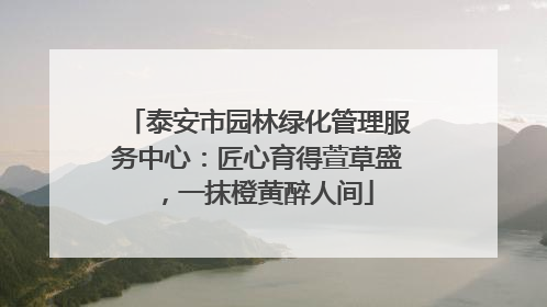 泰安市园林绿化管理服务中心：匠心育得萱草盛，一抹橙黄醉人间