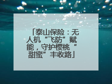 泰山保险：无人机“飞防”赋能，守护樱桃“甜蜜”丰收路