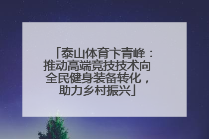 泰山体育卞青峰：推动高端竞技技术向全民健身装备转化，助力乡村振兴