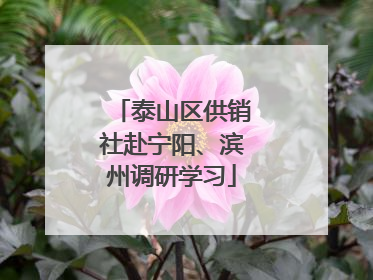 泰山区供销社赴宁阳、滨州调研学习