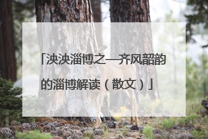 泱泱淄博之—齐风韶韵的淄博解读（散文）